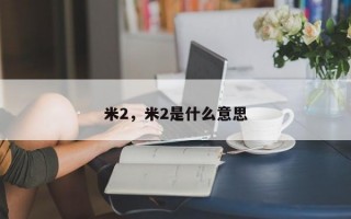 米2，米2是什么意思