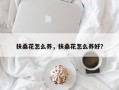 扶桑花怎么养，扶桑花怎么养好？